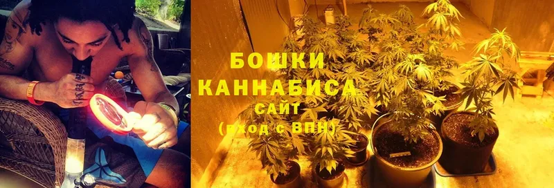 Конопля Bruce Banner  где найти   Кудымкар 